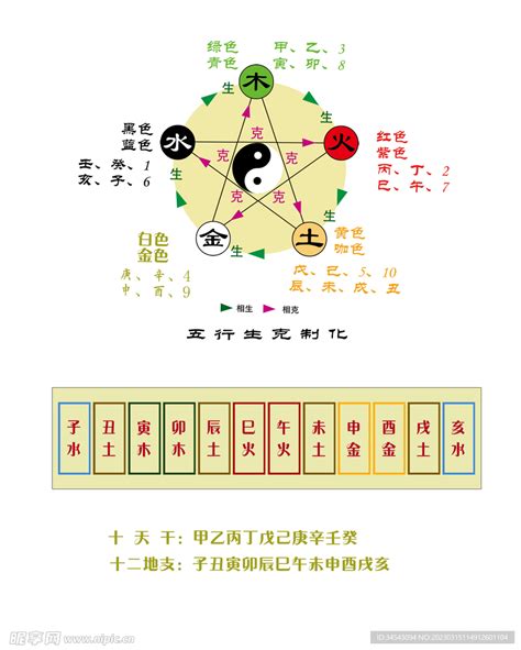 地支五行|十二地支类象详解 – 十二地支阴阳五行属性